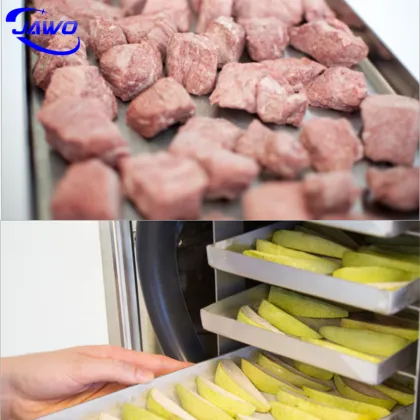 Emergency Freeze-Dried Foods: Individual Lyophilizer Prices