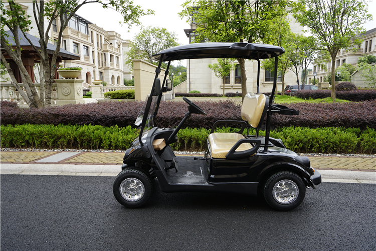 2 مقاعد ezgo بطارية ليثيوم عربات powergolf