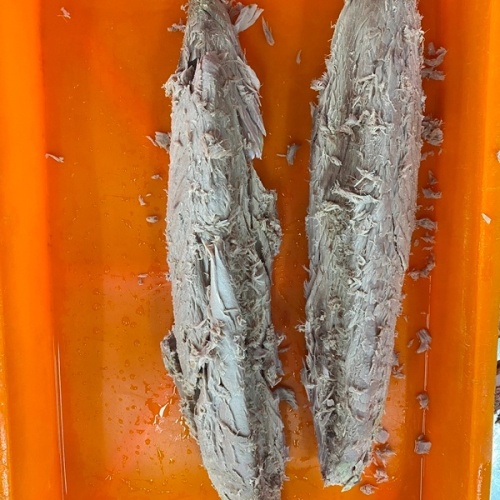 Lumo di pesce di tonno Skipjack congelato con alta qualità