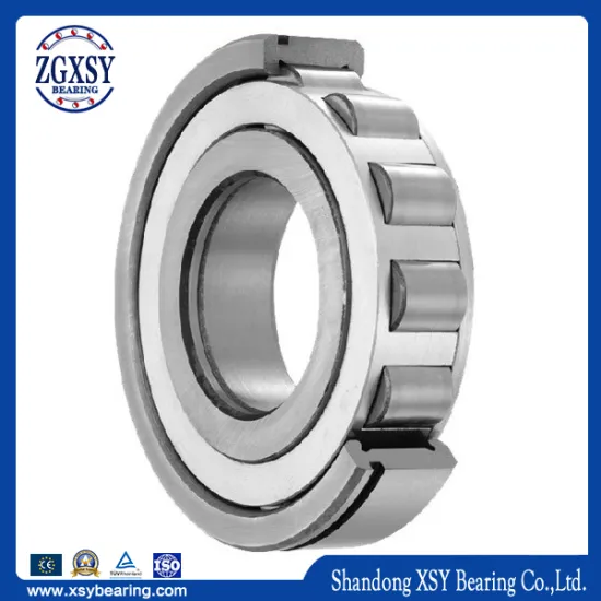 Nu Series Single-Row Cylindrical Roller Bearing