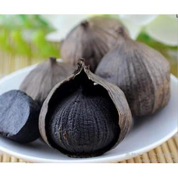 organic bulb black garlic for sale