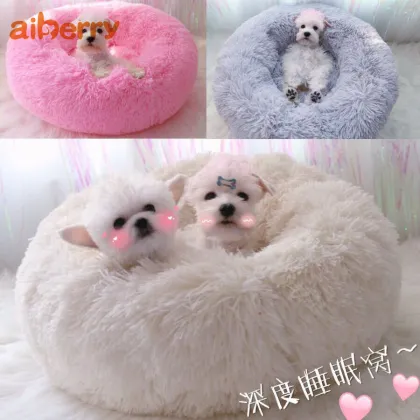 Best Small Pet Furniture Beds Sofa Accessories