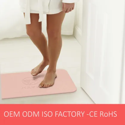 Water Fast Drying Non-slip Diatom Bath Mat