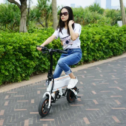 Lovely Style Eco Electric Bike 12 Inch Enda Electric Bike
