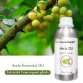 تأمین عمده فروشی با کیفیت 100 ٪ روغن ارگانیک آلی طبیعی خالص AMLA