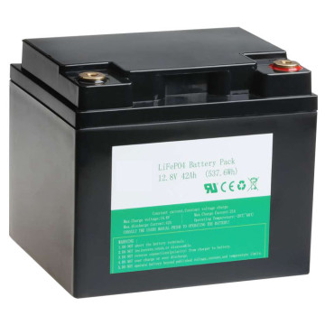 High Capacity Long-lasting 12V/24V LiFePO4 Rechargeable Battery for Electric Bikes and Touring Cars