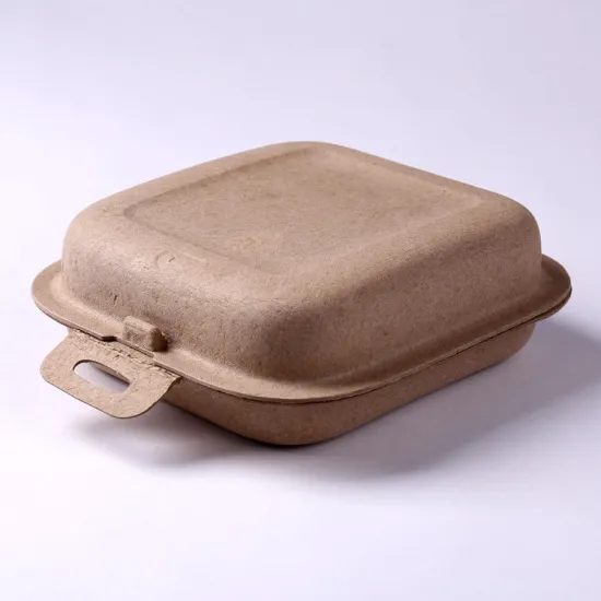 Customized Packaging Recycled Paper Pulp Box