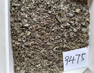 OP leaf gunpowder green tea 3505 9374 9501