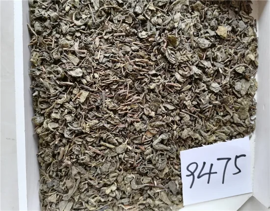 OP leaf gunpowder green tea 3505 9374 9501