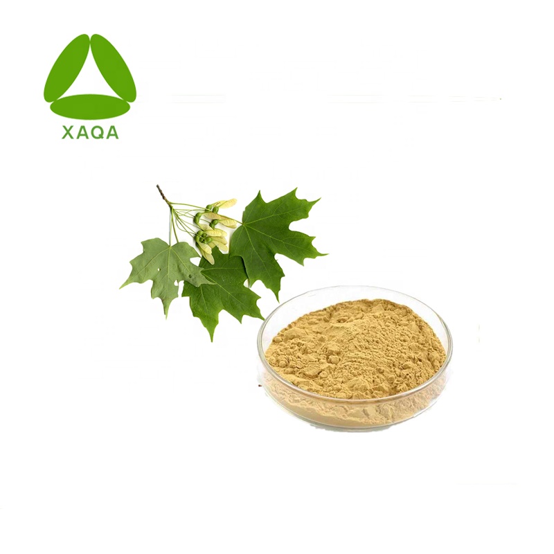 Extrait de graine d'Acer Truncatum 90% poudre d'acide nervonique