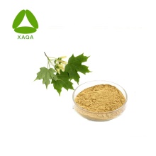 Acer Truncatum Seed Extract 90% Nervonic Acid Powder