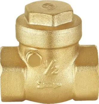 check valves