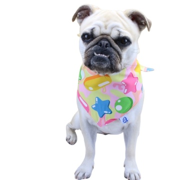2021 Acessórios Novos Estilos Animais de Estimação Cachorro Gatos Bandanas