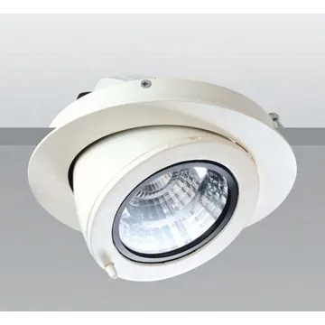 10W LED Downlight COB, Imported LED Chip, Optional Watts