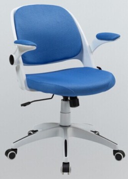 Zebra Stripe Back chair