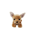 Pet Chihuahua en peluche décoration de jouets commémoratifs