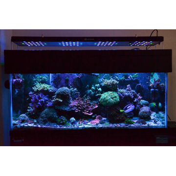 165W Coral Growing LED Aquarium Lighting