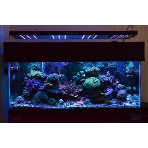 165W Coral Growing LED Aquarium Lighting