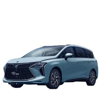 2024 Dongfeng Forthing U-Tour: 4-Wheel Gasoline MPV with Big Space and High Performance