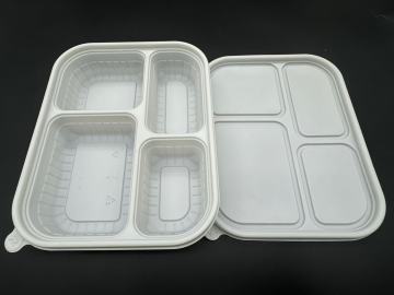 Vollwertige Muschel -Lunchbox