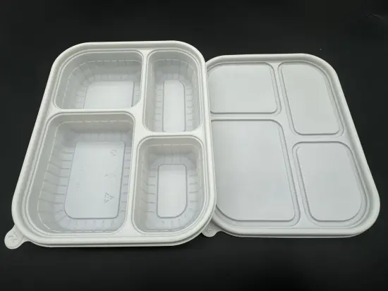Fully degradable seashell lunch box