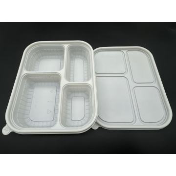 Fully degradable seashell lunch box