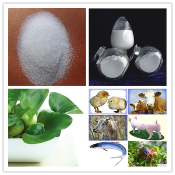 Feed Additives Glycine Betaine Anhydrous 98% in Crystal