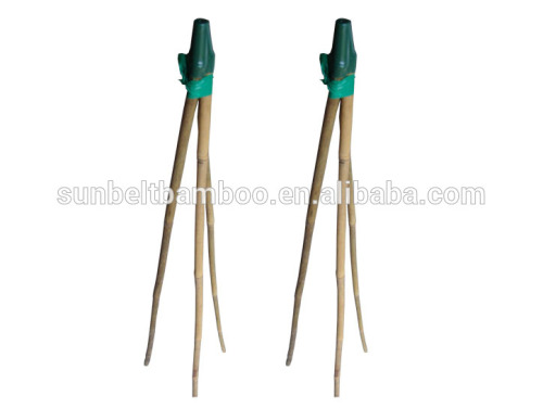 bamboo tripod bamboo teepe