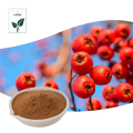 Hawthorn Berry Extract Powder Fruit Juice Powder
