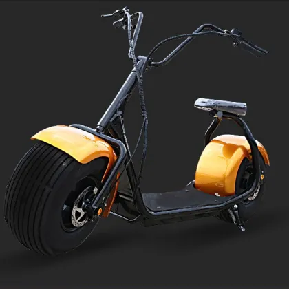 Electric Skateboard 800W New Design Fashion City Board