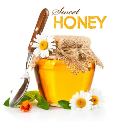 Fresh Pure Date Honey exporting