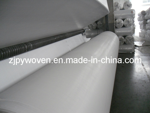 Circle Looms PE Woven Fabric for Lamination (PY3-50)