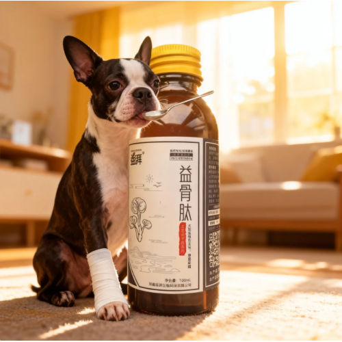 Suplemento mineral para ossos de animais de estimação