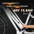 9-kelajuan 500W 48V 15.6AH 27.5 &#39;&#39; City Ebike