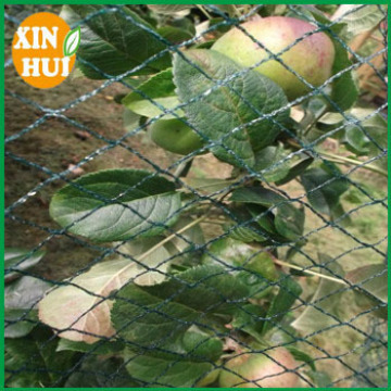 anti bird net for agriculture application