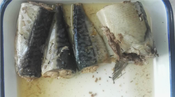 New Products Chinese Canned Jack Mackerel Brands in Brine