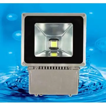 100W LED Flood Lights with Integrated Chip
