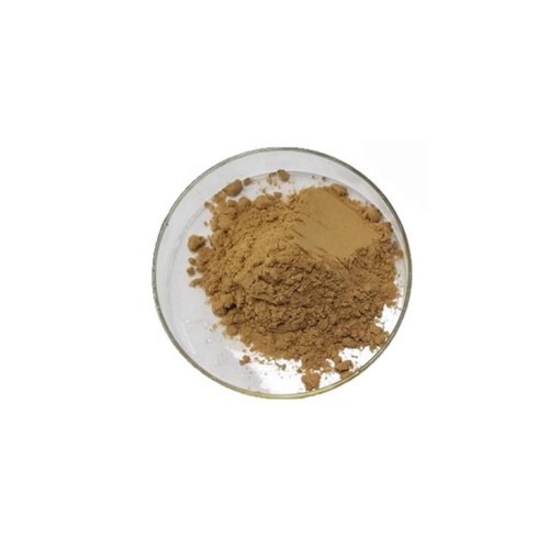 Alchemilla Vulgaris Extracts powder