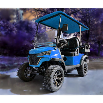 EG Wholesale: Chinese Factory Luxury Custom Golf Carts with 72V/48V Lithium Batteries