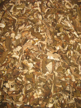 dried boletus edulis