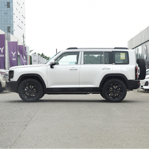 Haval Menglong Raptors 2024 HI4 102 Pro