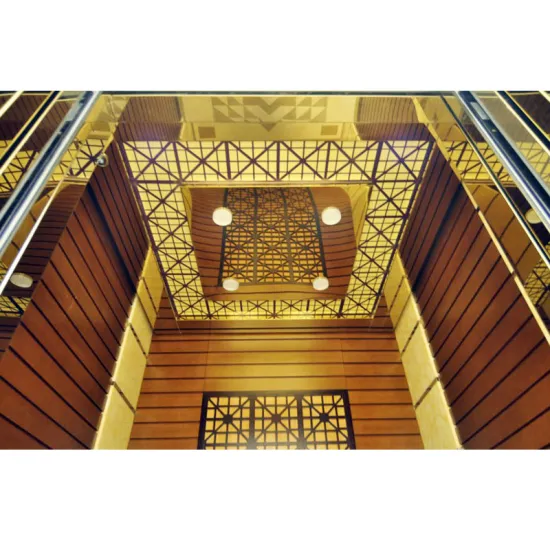 High Speed Passenger Elevator