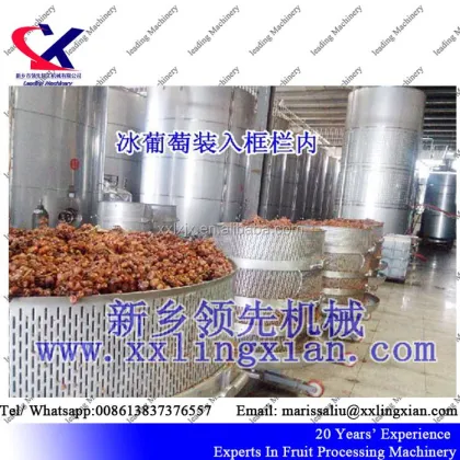 Wine Vertical Press: Advanced Technology Hydraulic Grape Press Machine