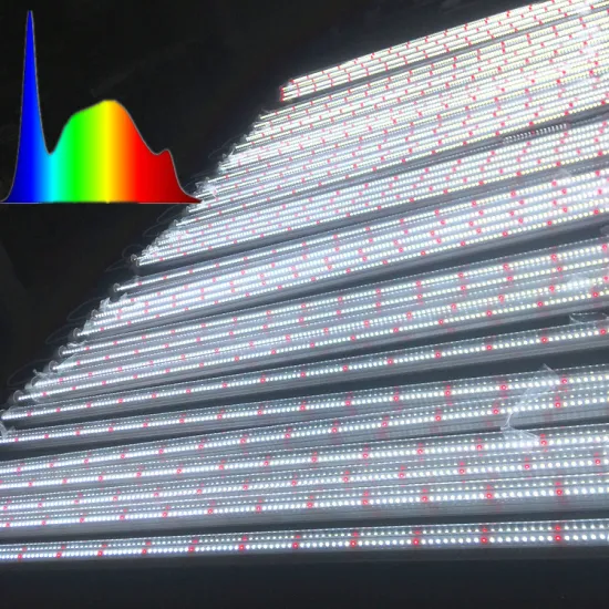 7Magic Sunlight: Flicker-Free 6500K 660nm Red T8/T5 LED Bar Grow Lamp & V-Shape Grow Lights