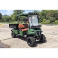 Çoklu Kullanımlar için Dayanıklı 4x4 Yardımcı Golf Arabası