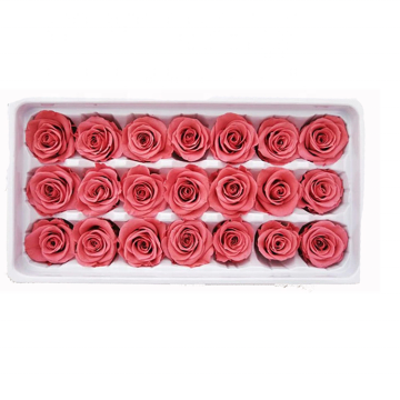 Eternal Rose in Box - Grade 2-3 cm Stabilized Rose for Wedding Decor