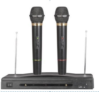 Wire & Wireless Microphone (EGM306W)