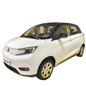 Affordable EECE Electric Car: 2023 Young Guang Xiaoxin 302km Long Range 2WD EV for Adults