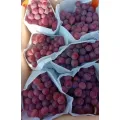 Sariwang Pulang Grape Selection para sa Premium na Kalidad