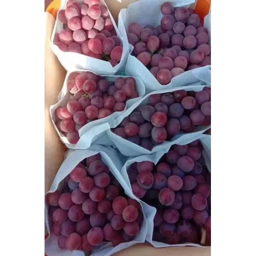 Sariwang Pulang Grape Selection para sa Premium na Kalidad